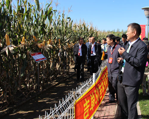 吉農高新公司參加第十一屆全國系列報道四